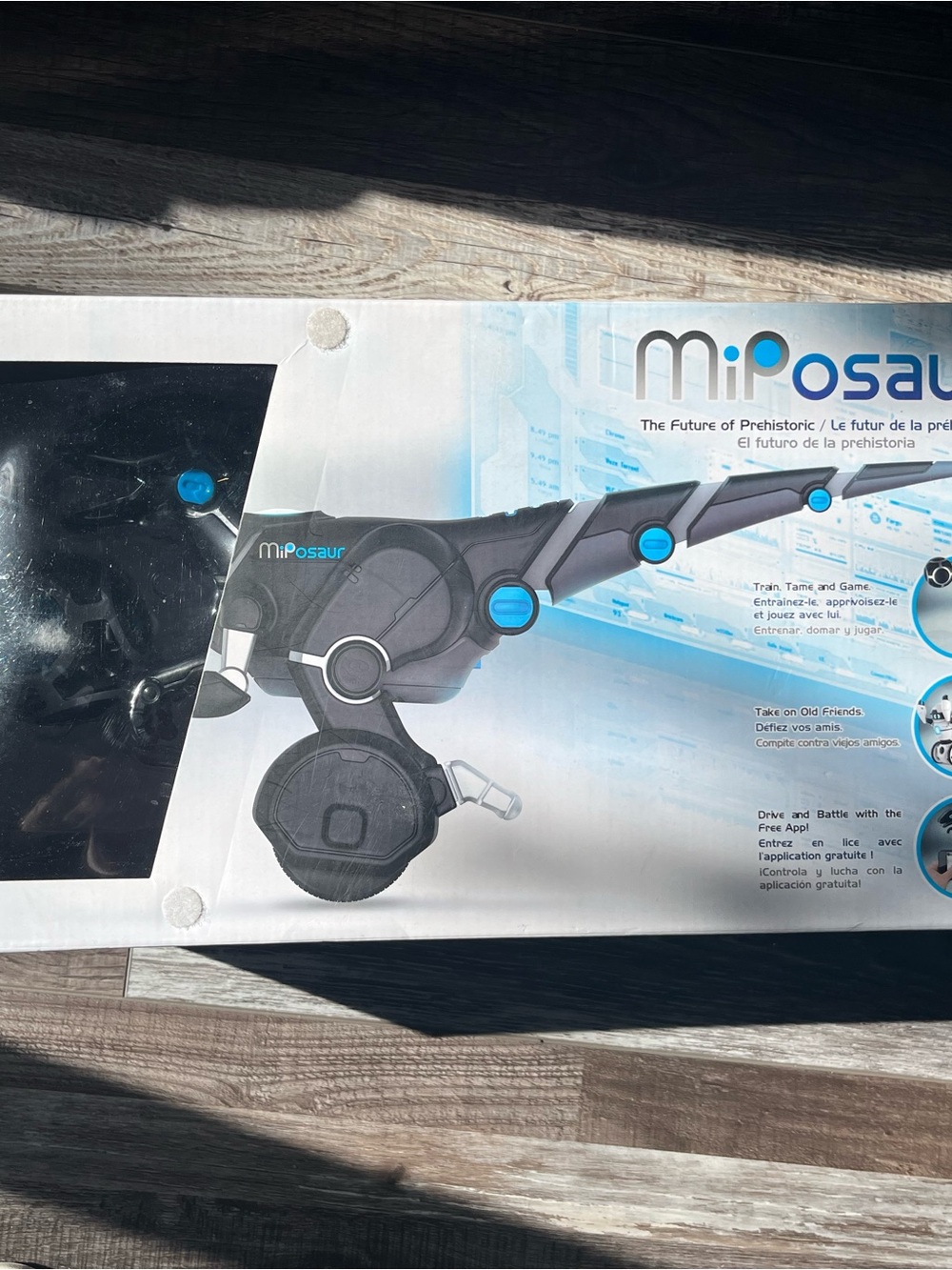 Robotic T-Rex Toy - Black and Blue
